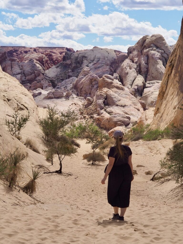 Žena ve Valley of Fire