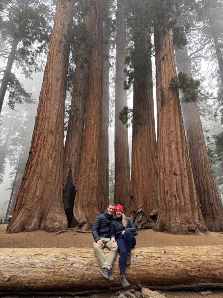 pár sedí před sekvojemi