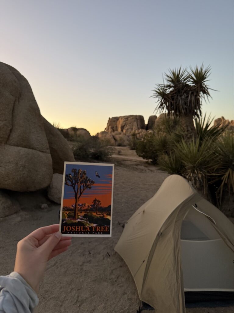 pohled v joshua tree